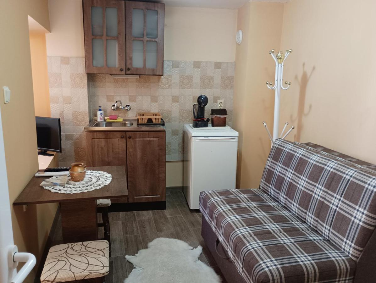 דירות בלוגראדצ'יק При Старото Пиано מראה חיצוני תמונה